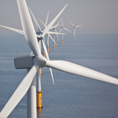 pd-vac-bulk-mold-webs Bulk Molding Webs - Windmills