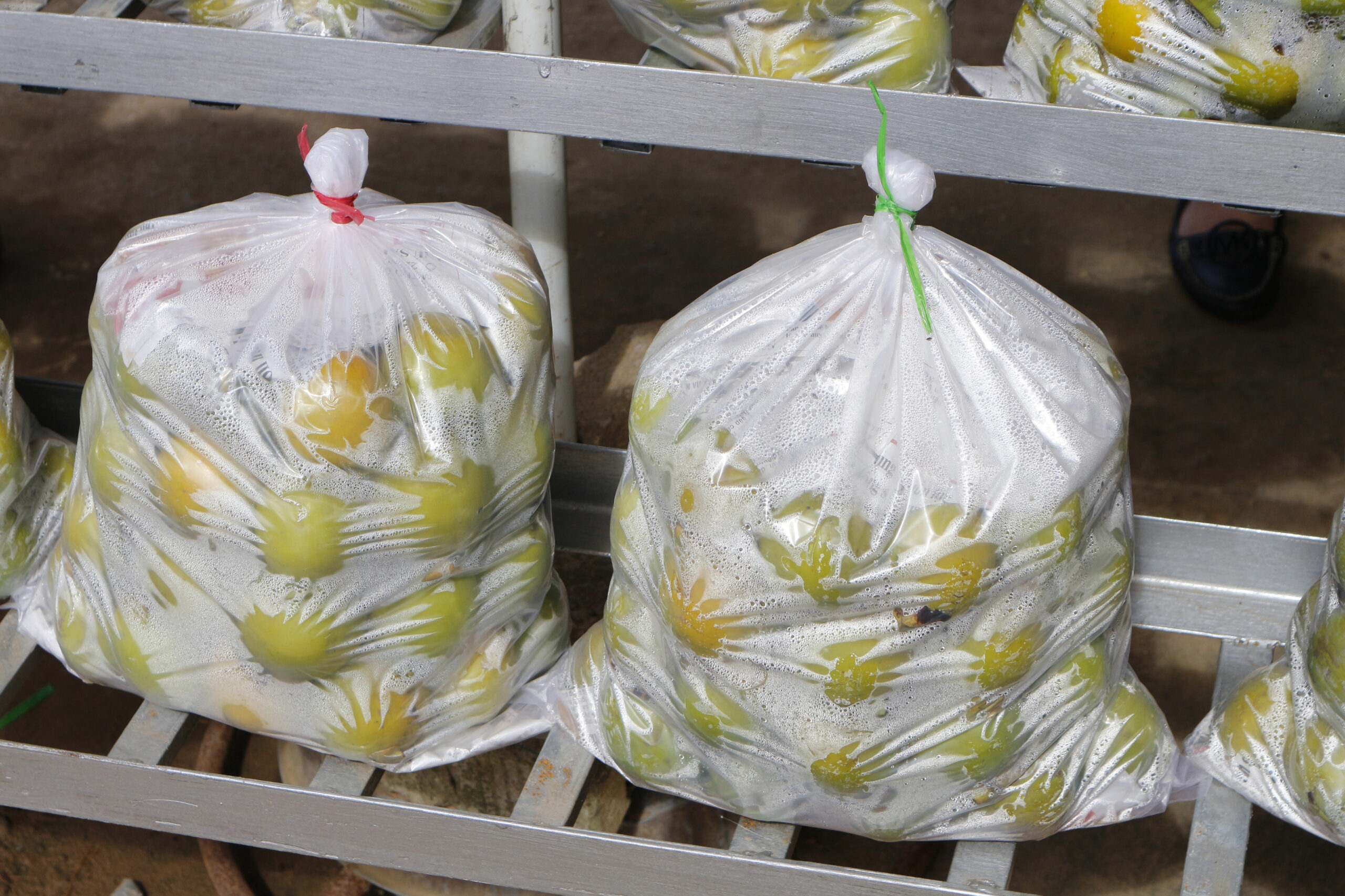 Using Modified Atmosphere Packaging to Improve the Quality of Fresh Fruits and Vegetables